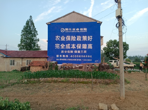 怀宁墙体广告为何受追捧？